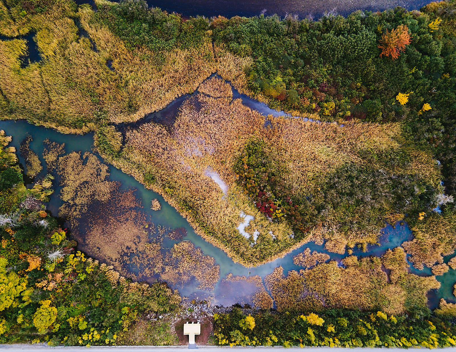 Photo Gallery Town of Steady Brook