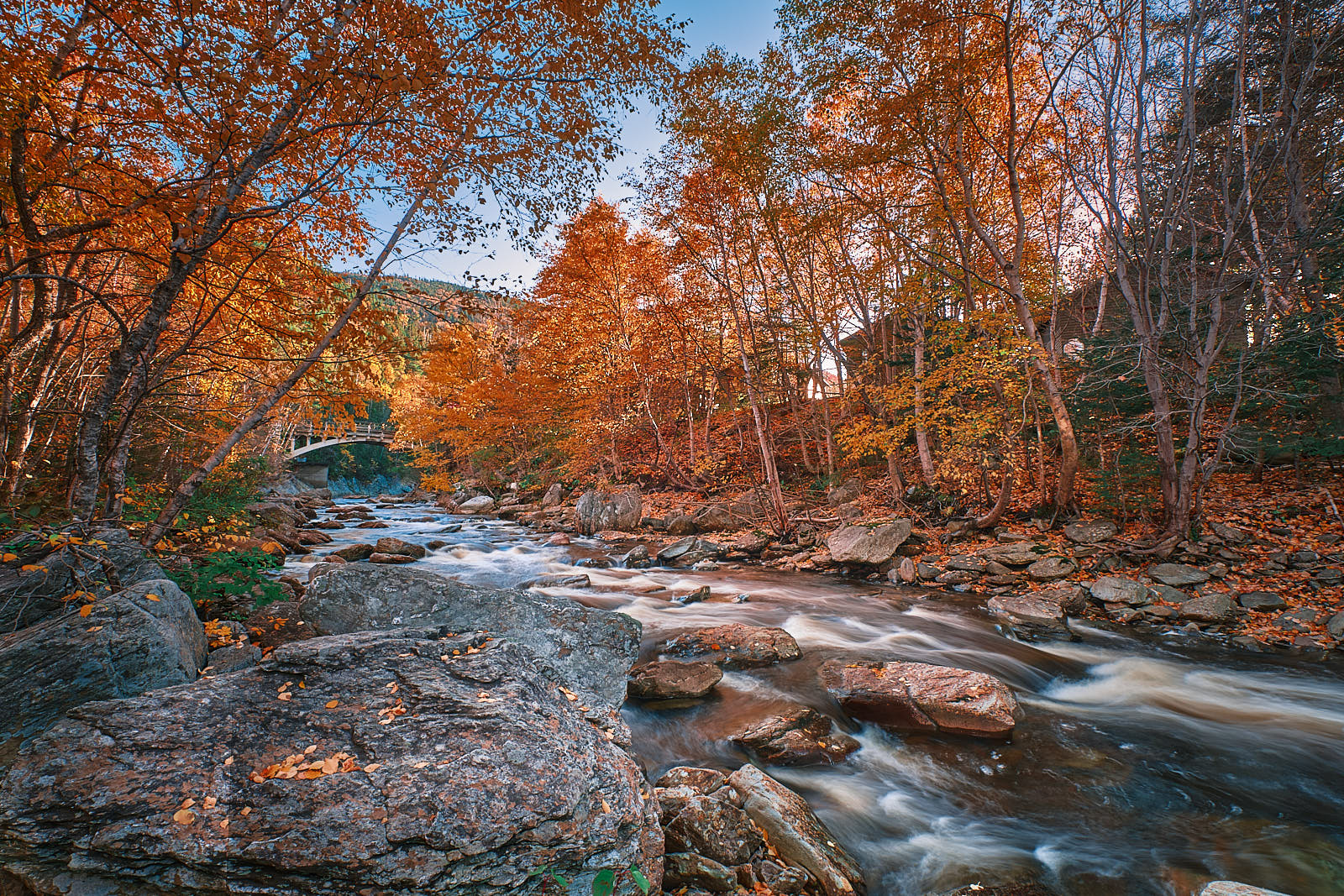 Photo Gallery Town of Steady Brook